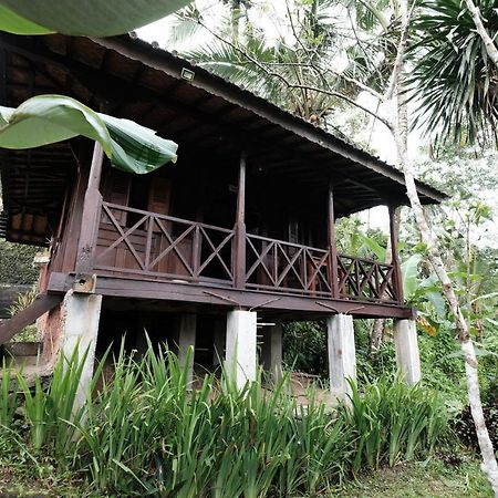 Ubud Jungle Holy Water Exterior photo