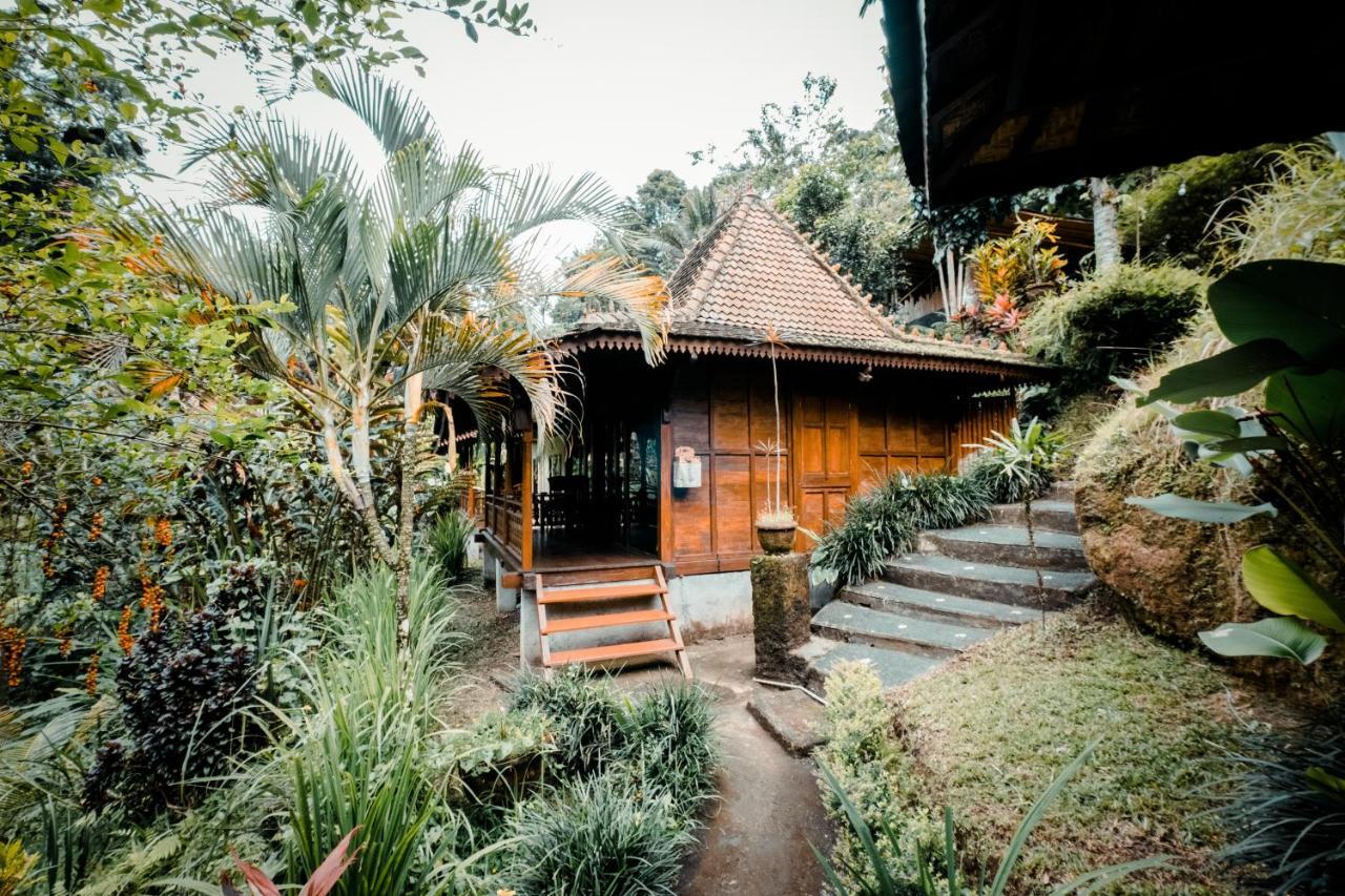 Ubud Jungle Holy Water Exterior photo