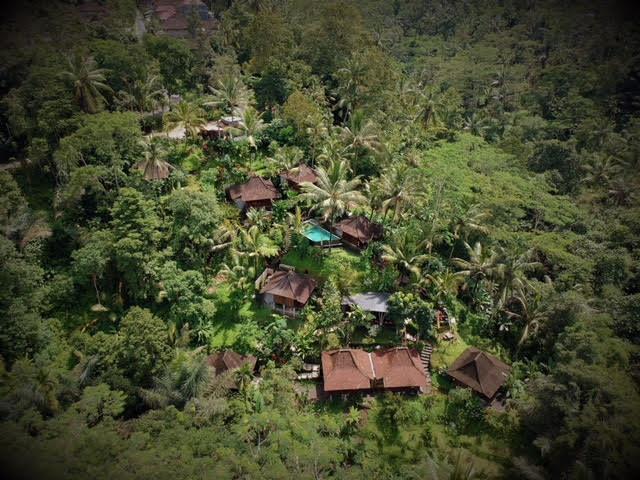 Ubud Jungle Holy Water Exterior photo