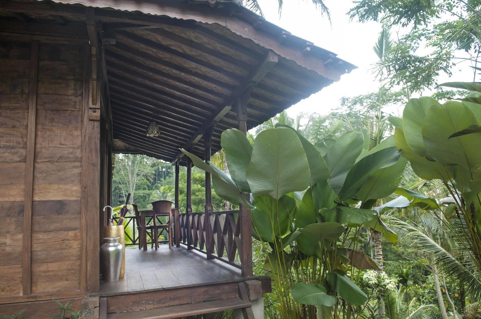 Ubud Jungle Holy Water Exterior photo