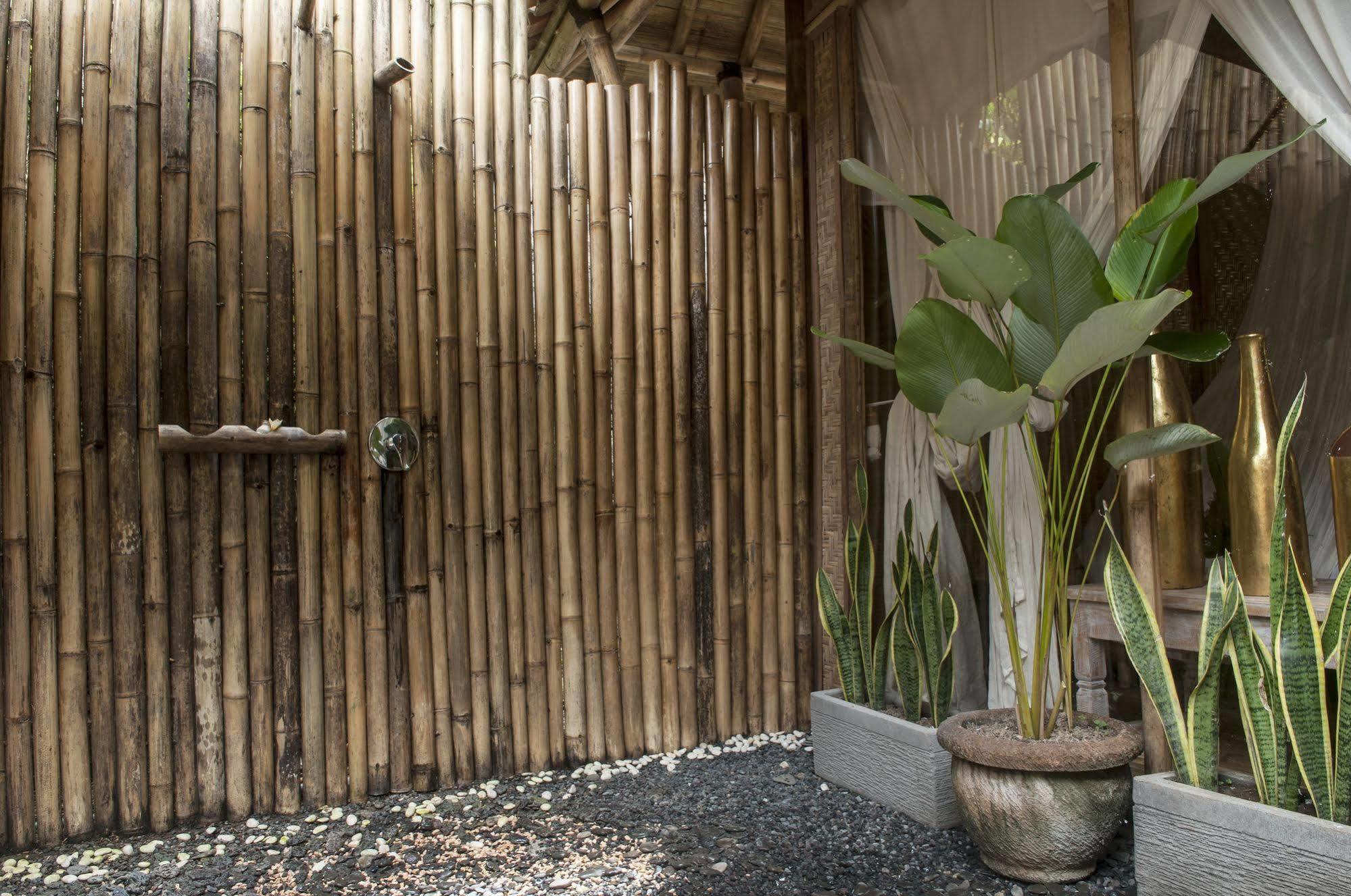 Ubud Jungle Holy Water Exterior photo